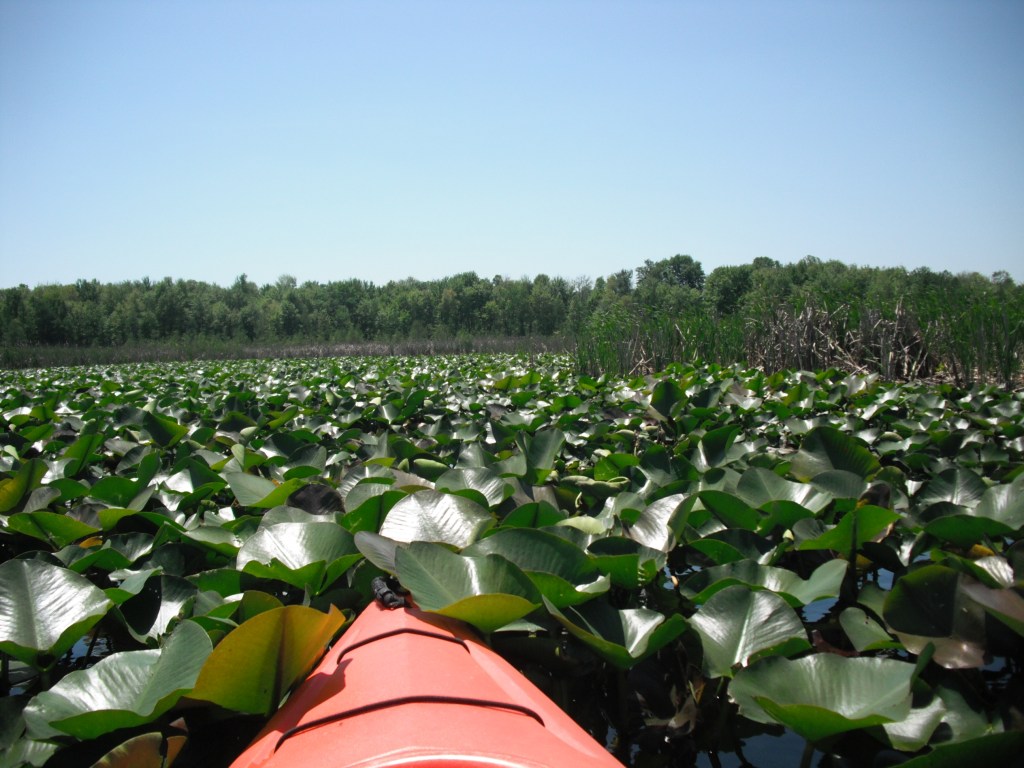 Gourdneck Creek, Kalamazoo County